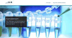 Desktop Screenshot of gumusixir.com